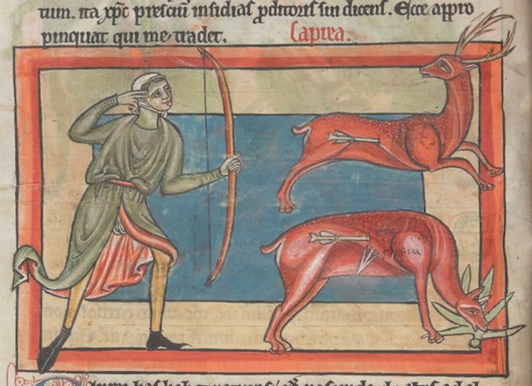 medieval image of a deer wounded by a hunter's arrow, while a fallow deer is also wounded but eats the grass of the day, causing the arrow to come out