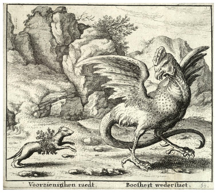17th century engraving of a weasel and a basilisk in conflict